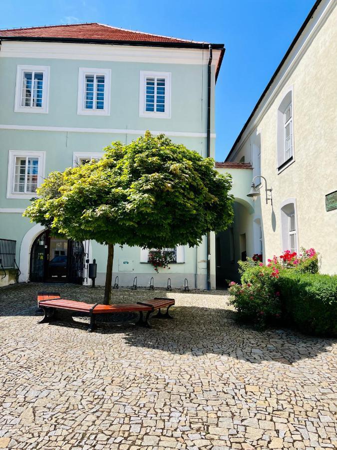 Apartman Elen Nove Mesto nad Metuji Exterior photo
